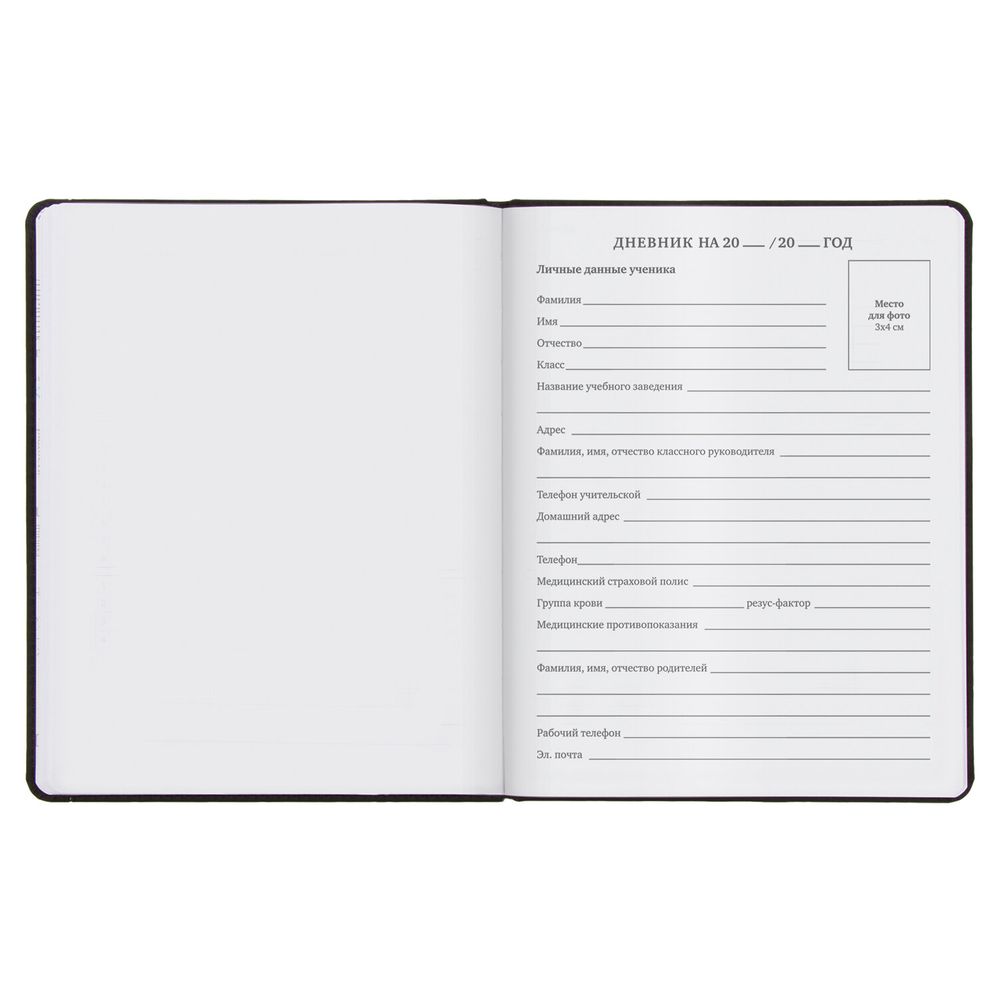 Дневник 1-11 класс 48 л., кожзам (твердая), термотиснение, BRAUBERG 