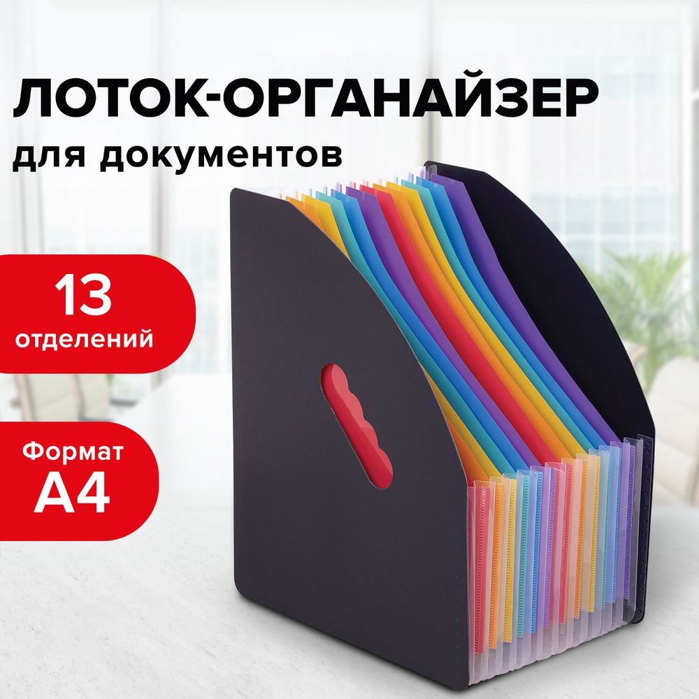 Лоток-органайзер вертикальный для бумаг и документов, 13 отделений, BRAUBERG DOCS, А4 черный