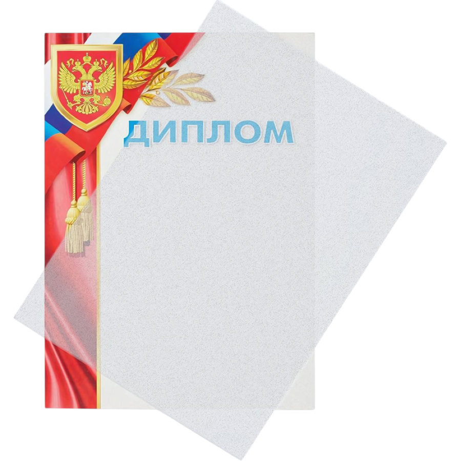 Лист А4 обложечный пластик ProMega Office, НЕпрозр., 0,28мм, 100шт/уп, пластик, полупрозрачные матовые 