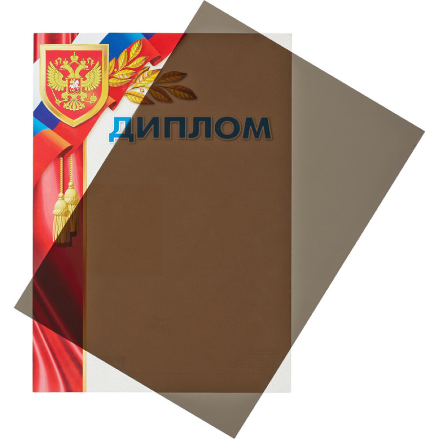 Обложки для переплета пластиковые ProMega office A4 200 мкм дымчатые (100 штук в упаковке) 
