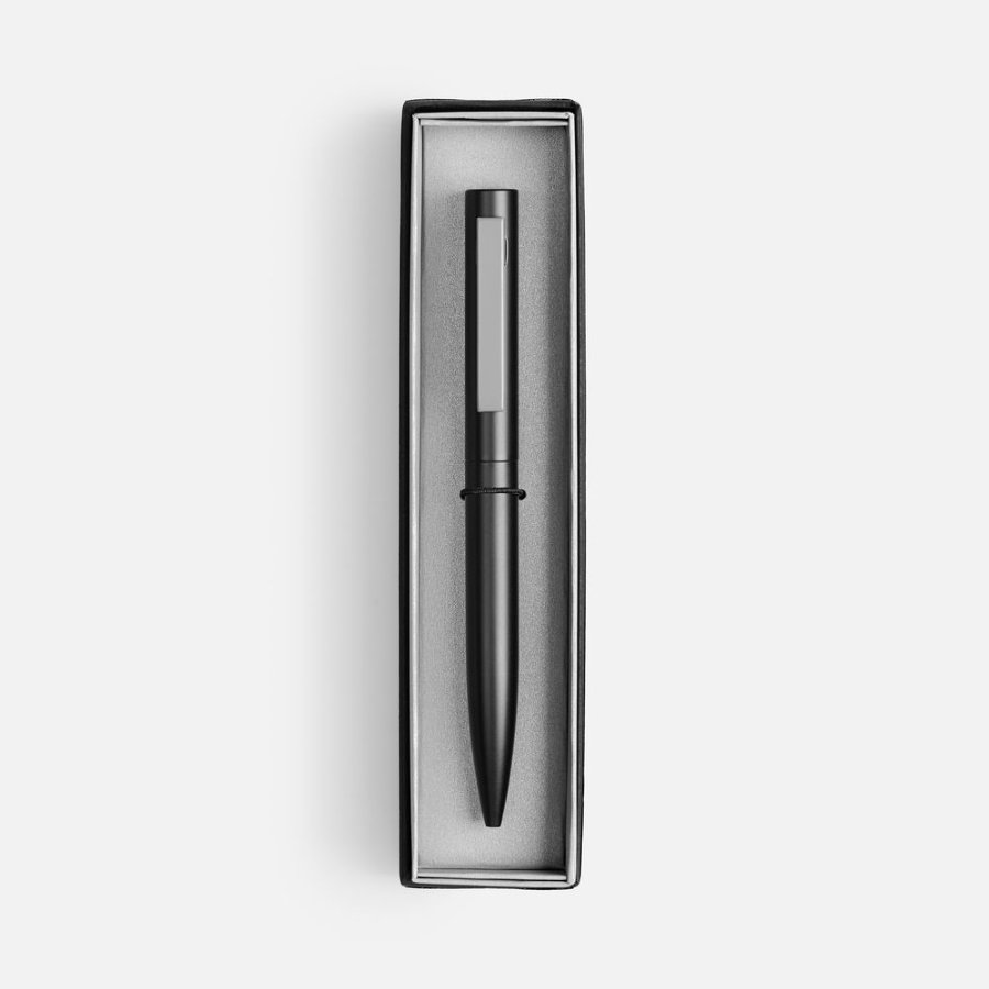 Ручка шариковая Inkolor в футляре черная с серым