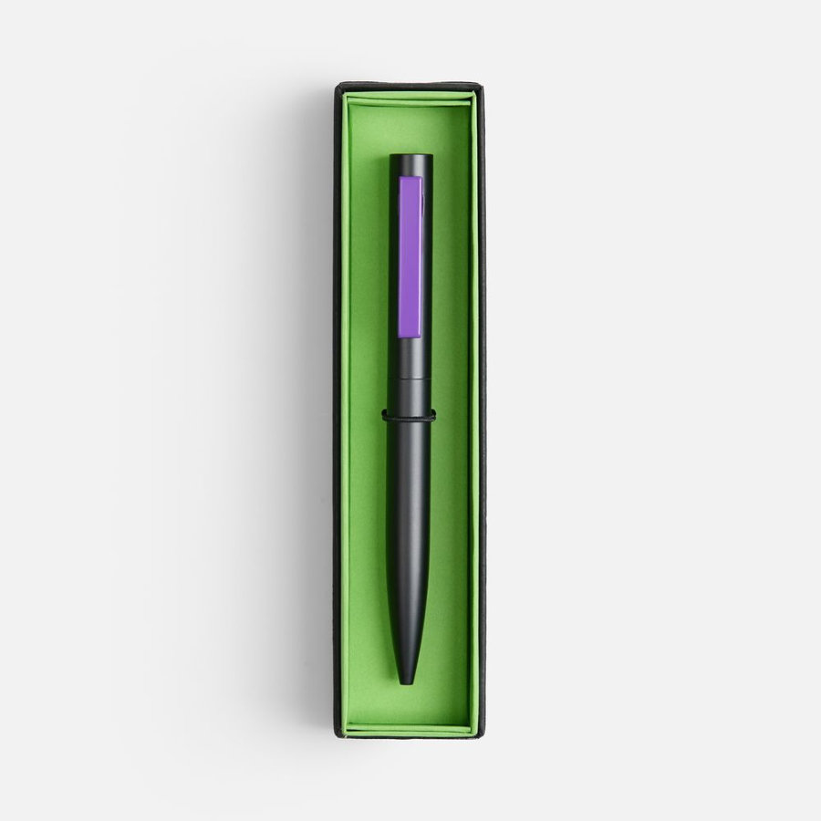 Ручка шариковая Inkolor в футляре черная с фиолетовым