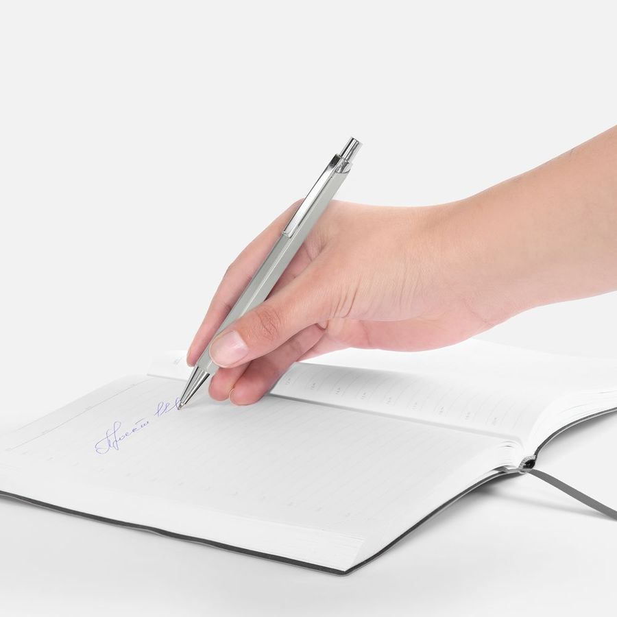 Ручка шариковая Alumno серая