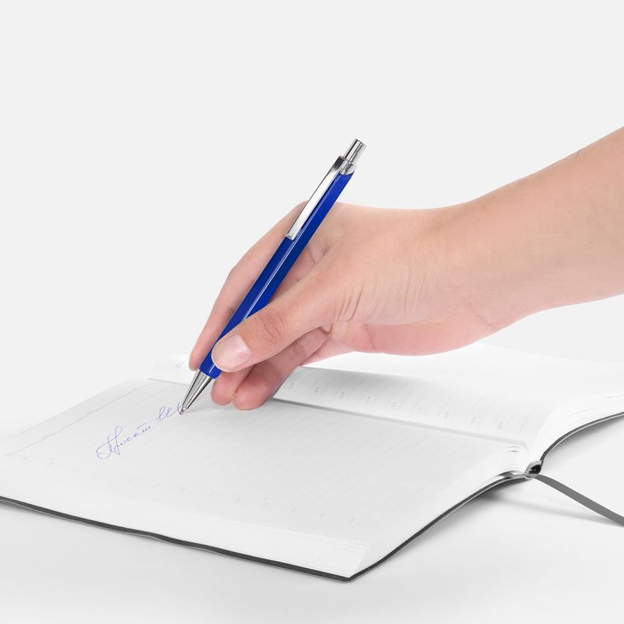 Ручка шариковая Alumno синяя