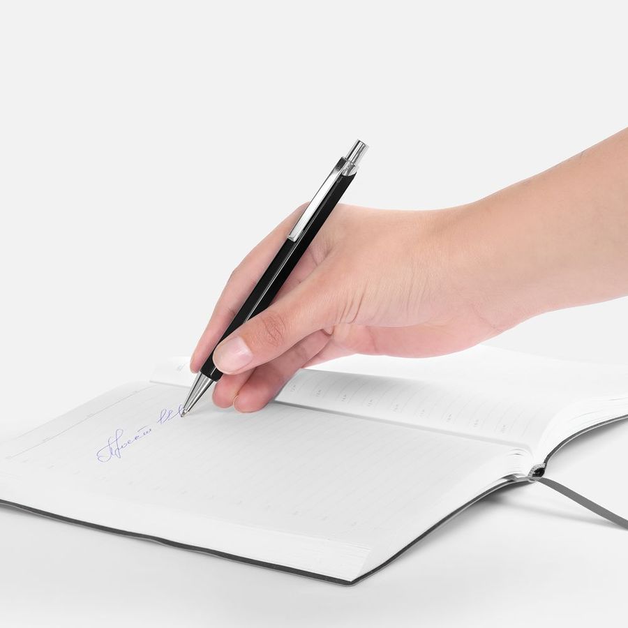 Ручка шариковая Alumno черная