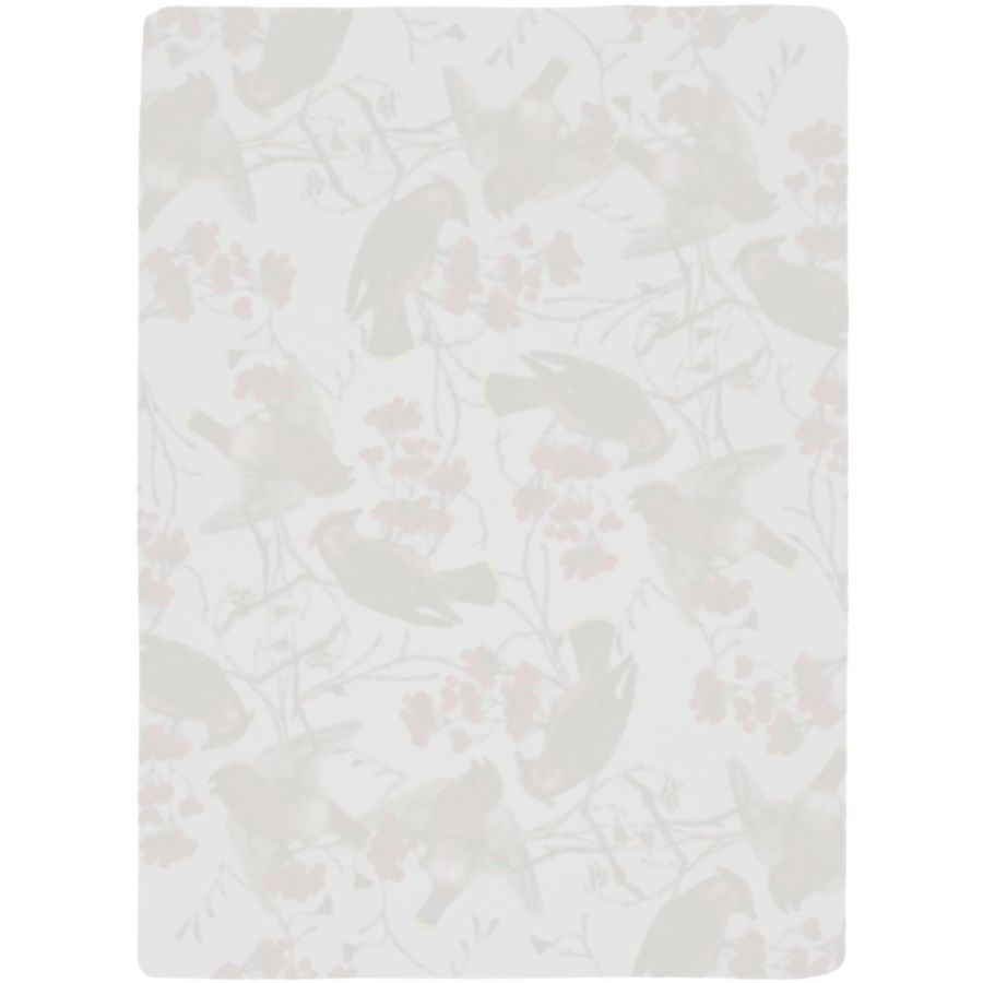 Флисовый плед Winter Bird