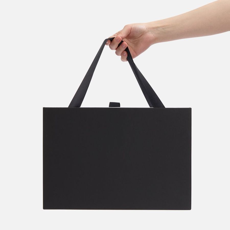 Коробка Regalis черная