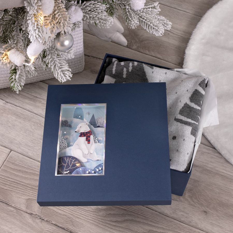 Коробка The Blue Bear M