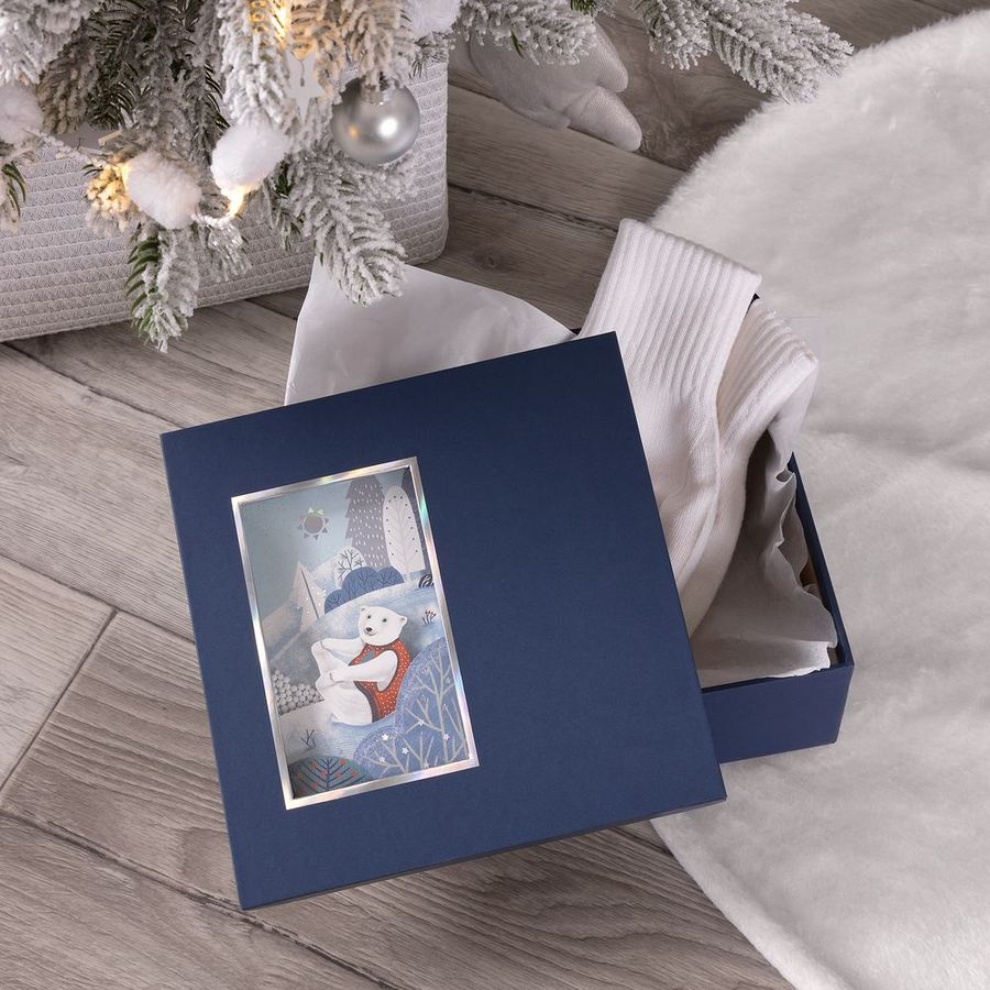 Коробка The Blue Bear S