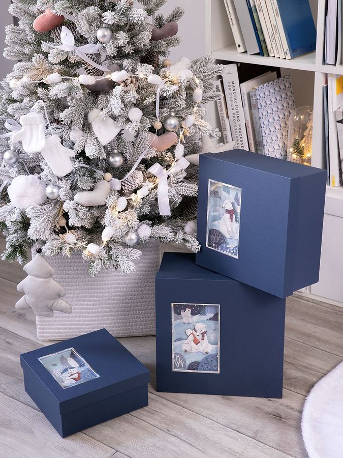 Коробка The Blue Bear S