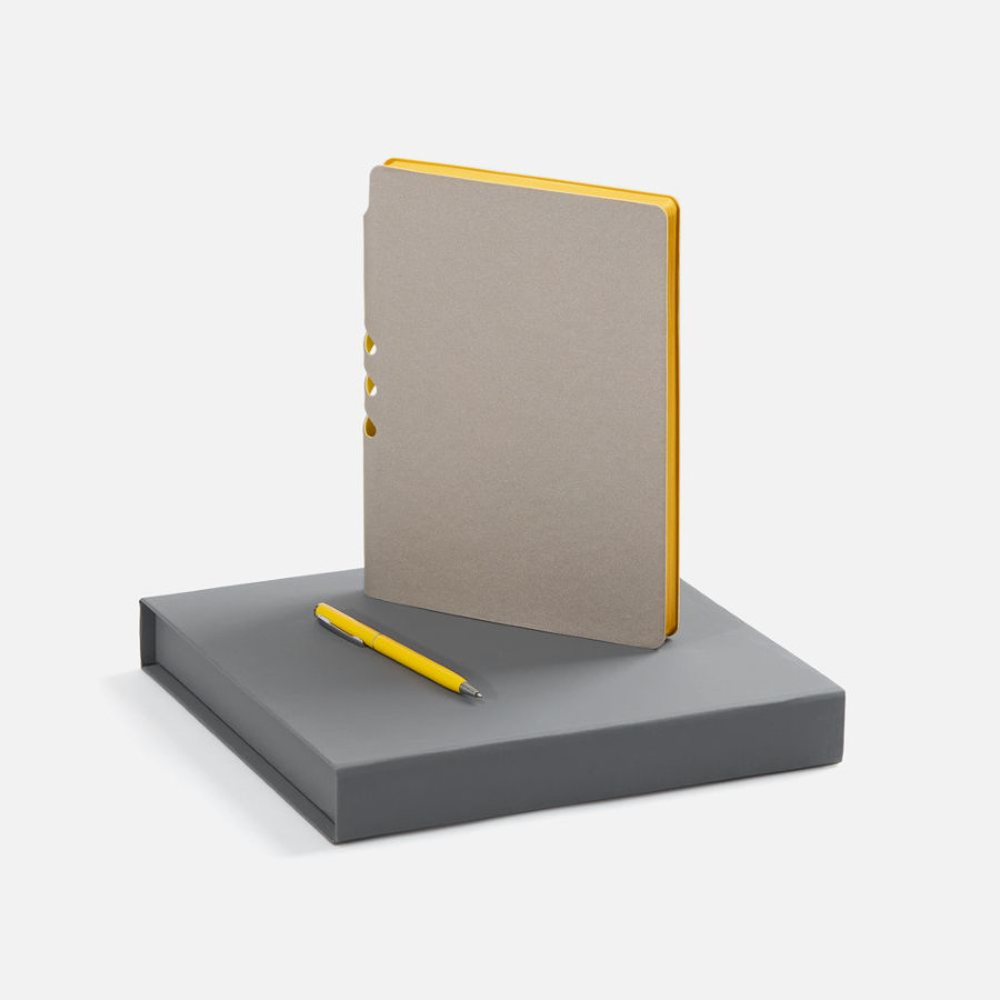 Набор Flexpen Grey желтый