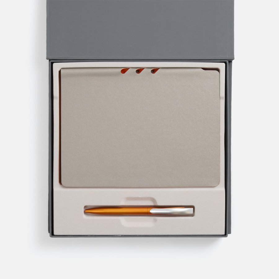 Набор Flexpen Grey оранжевый