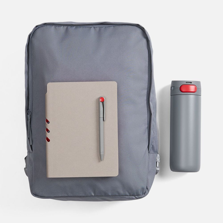 Набор Flexpen Travel серый с красным