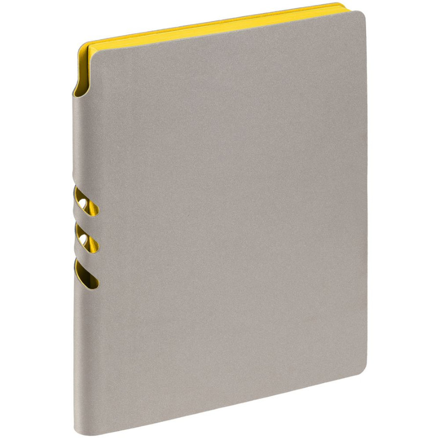 Набор Flexpen серебристо-желтый