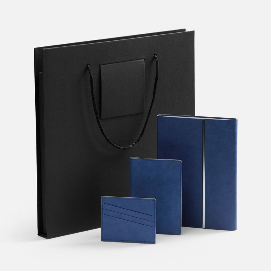 Набор Petrus Flap синий