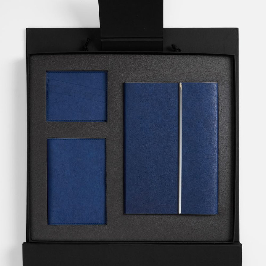 Набор Petrus Flap синий