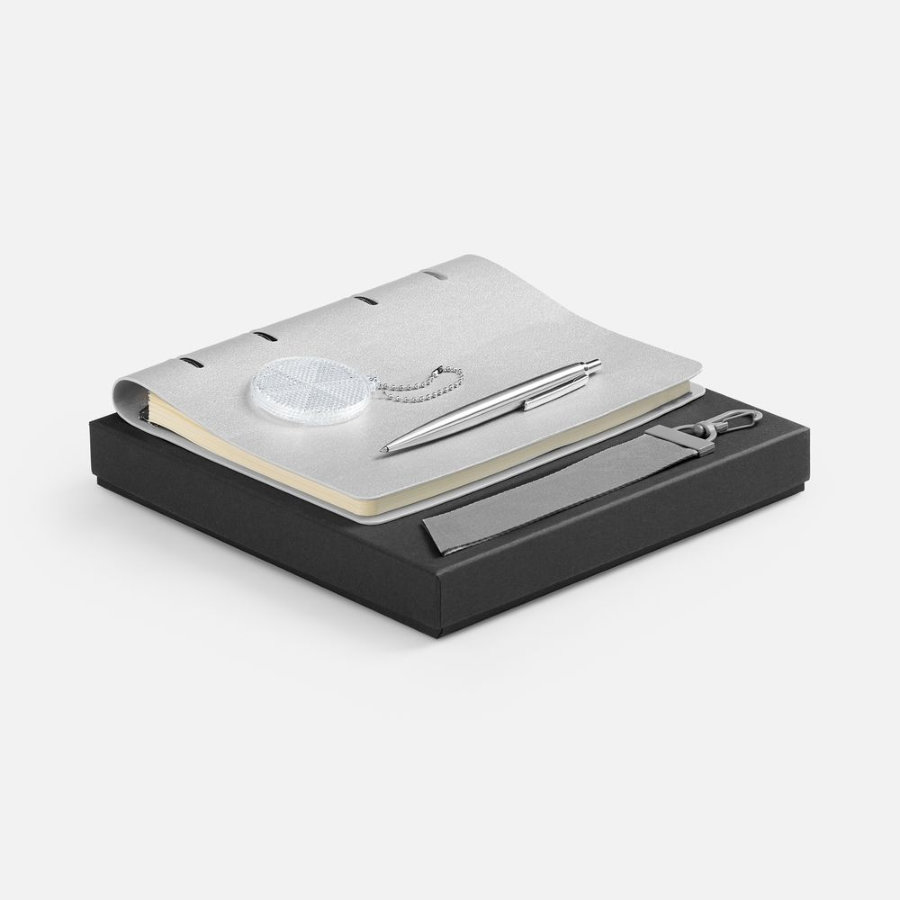 Набор Ringo серебристый