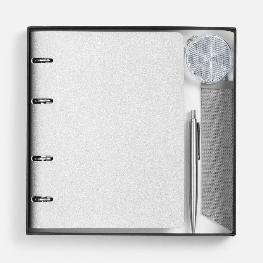 Набор Ringo серебристый