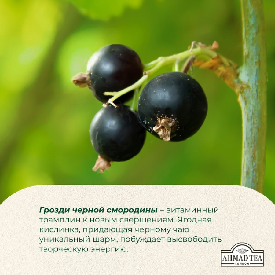 Чай Ahmad Tea черный смородиновый взрыв 25пакx1,5г/уп 2250
