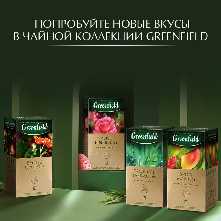 Чай Greenfield Christmas Mystery (Кристмас Мистери), черный 25 пак /уп