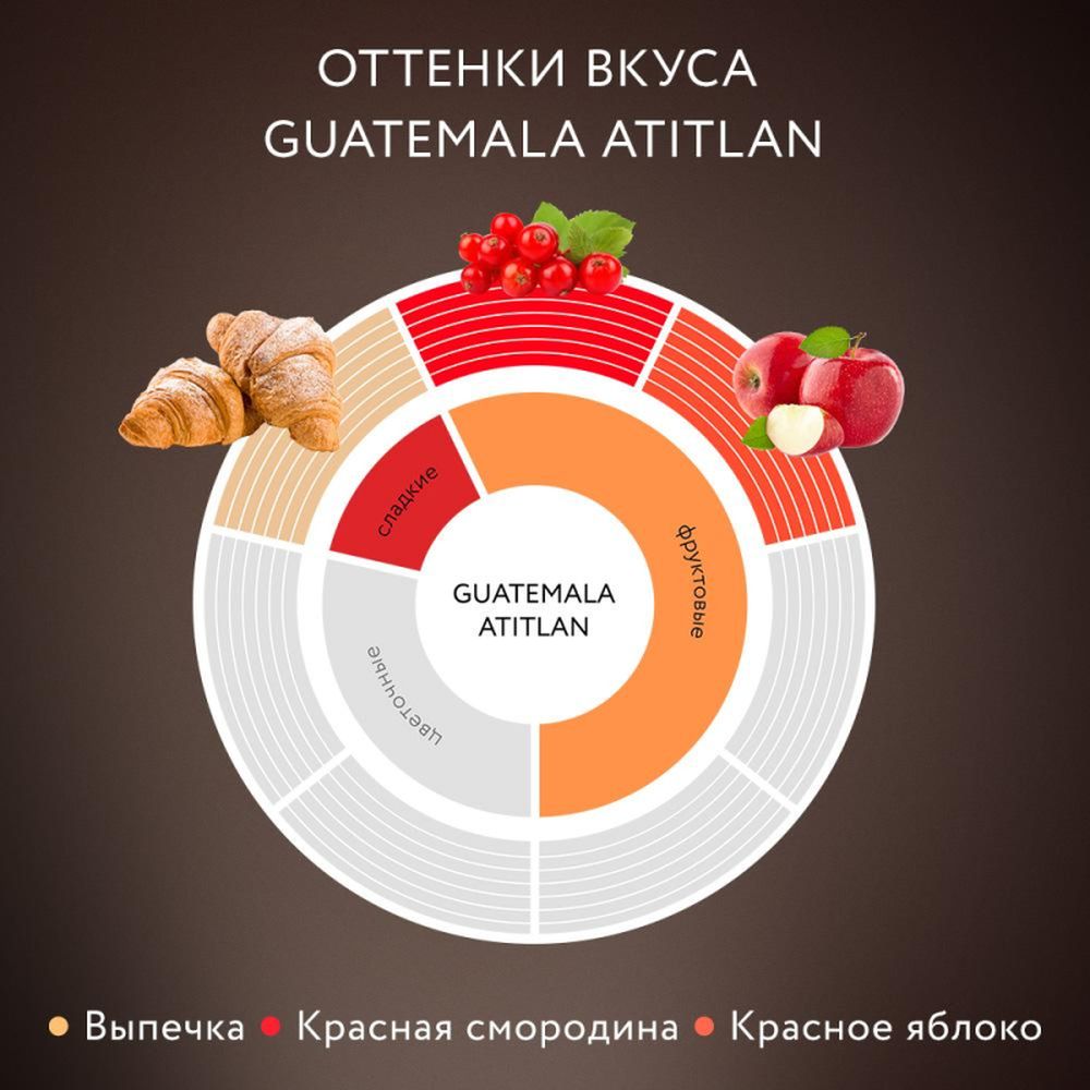Кофе Jardin Guatemala Atitlan сублимированный, 95г стек.бан.
