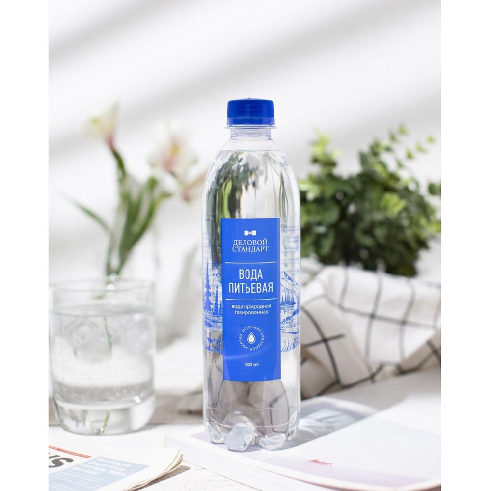 Вода питьевая Деловой Стандарт 0,5 газированная,ПЭТ