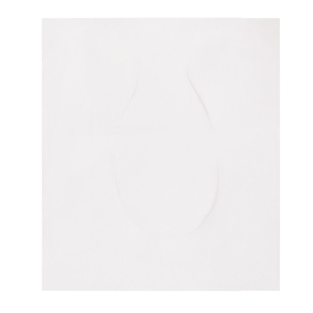 Накладки покрытия сидения для унитаза КОМПЛЕКТ 10 шт. школа/офис/больница/роддом/поездка LAIMA