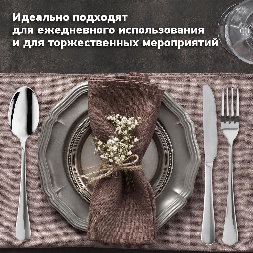 Набор столовых приборов PREMIUM 24 шт., 6 персон, серебристый, нержавеющая сталь, DASWERK