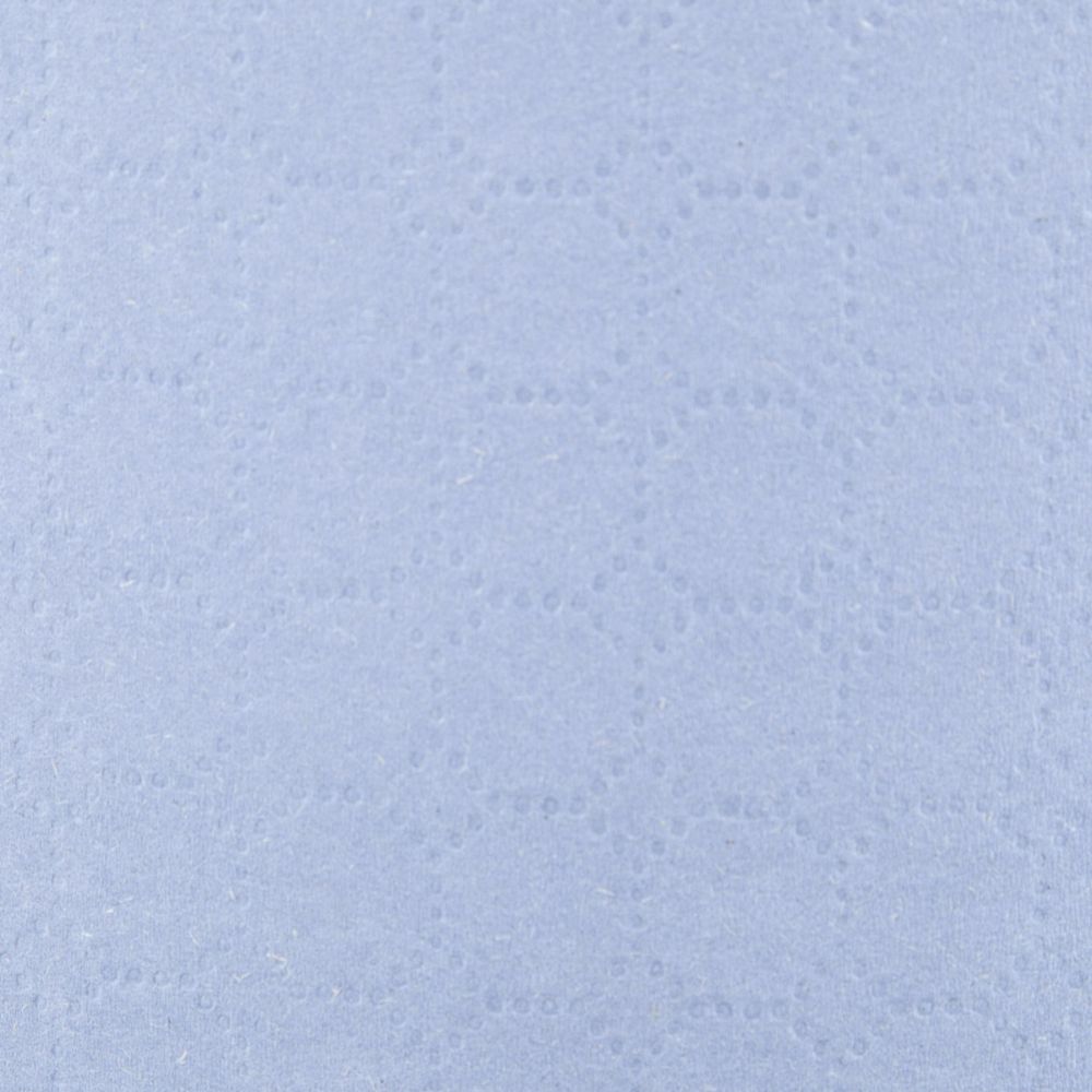 Бумага протирочная Luscan Prof 2сл 200лx1рул/уп 52м голубая