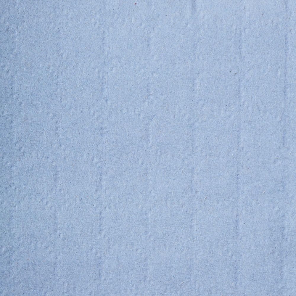 Бумага протирочная Luscan Prof 2сл 500лx1рул/уп 130м голубая