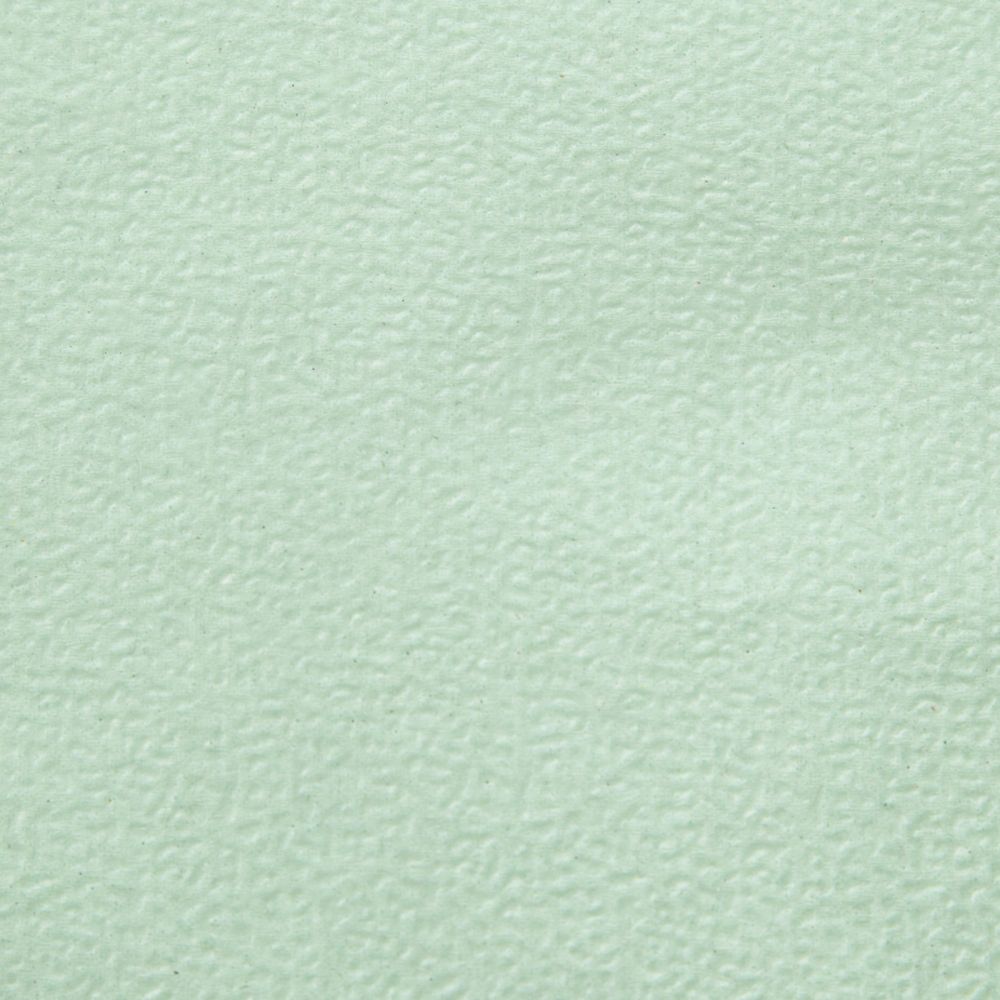 Салфетки бумажные Luscan Profi Pack 1сл24х24пастель салатовые 400 шт/уп