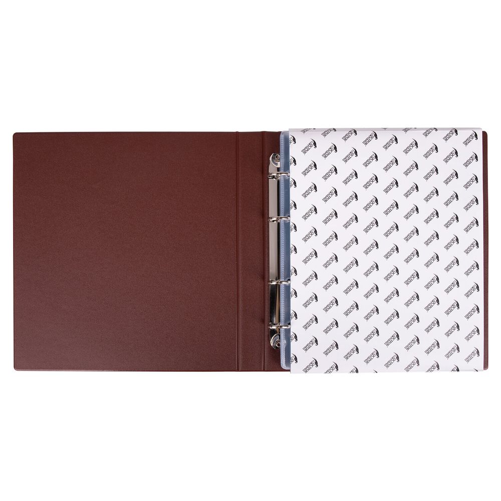 Альбом нумизмата для 380 монет (диаметр до 38 мм) и купюр, 253х238 мм, коричневый, ОСТРОВ СОКРОВИЩ