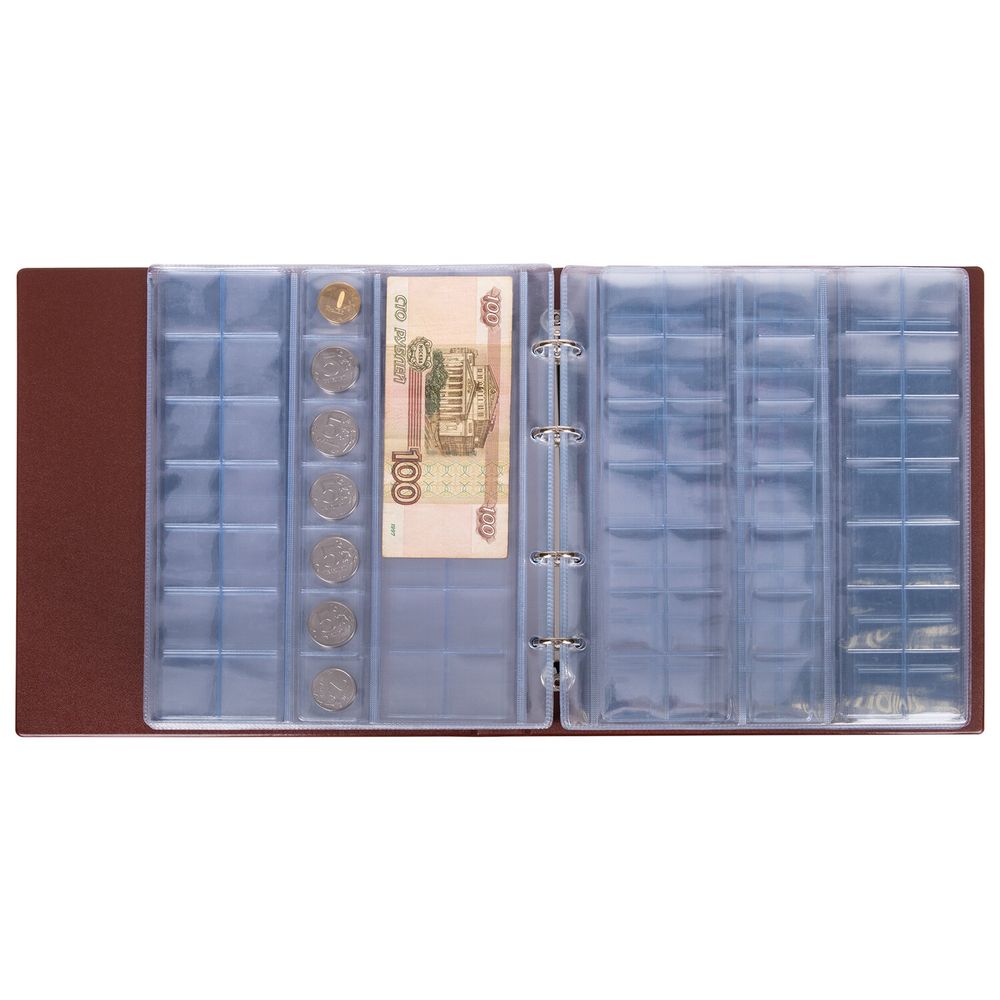 Альбом нумизмата для 380 монет (диаметр до 38 мм) и купюр, 253х238 мм, коричневый, ОСТРОВ СОКРОВИЩ