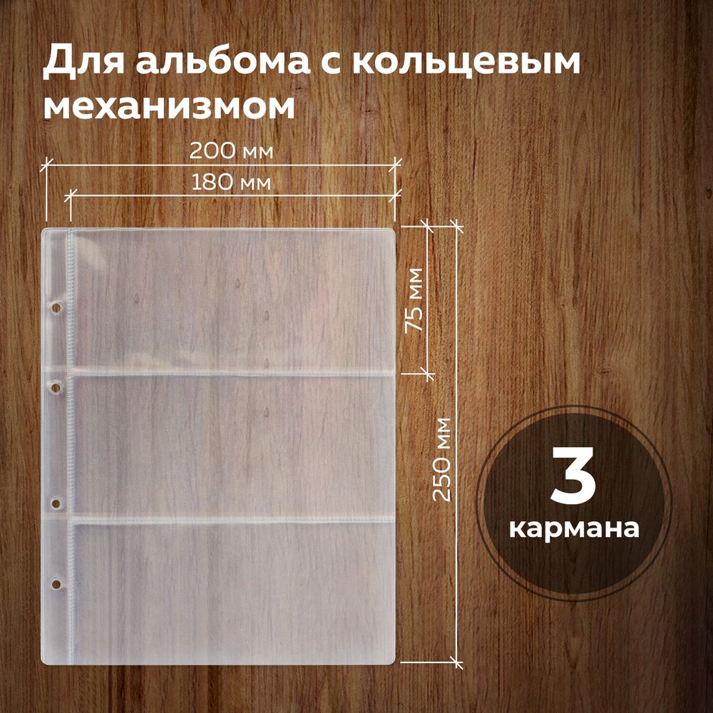 Листы-вкладыши для денежных купюр для альбома 