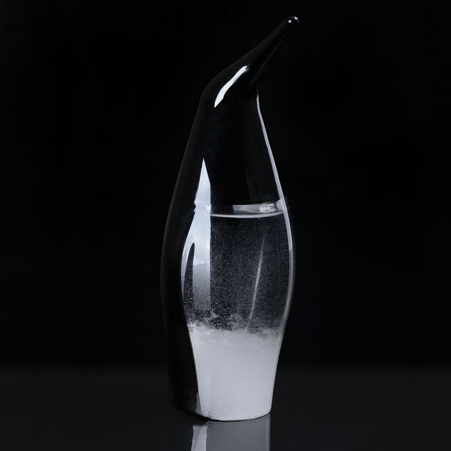 Штормгласс Penguin черный