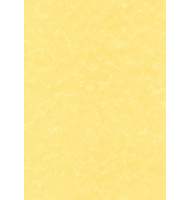Дизайн-бумага DECAdry Corporate Line, А4, 25 л, 95 г/м2, Золотой пергамент