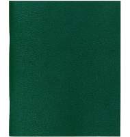 Тетрадь Lamark общая на скобе, А5, 48 л., клетка, обложка бумвинил зеленый