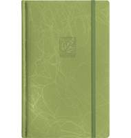 Записная книжка Erich Krause SCRIBBLE, А5, 130х210, на резинке, зеленая