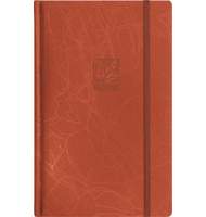 Записная книжка Erich Krause SCRIBBLE, А5, 130х210, на резинке, оранжевая