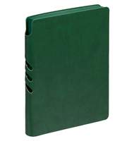 Ежедневник Flexpen Color датированный зеленый