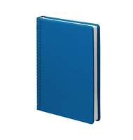 Ежедневник датированный Pied-de-poule, 2024, А5, синий