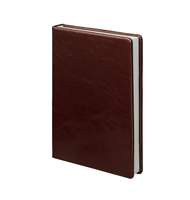 Ежедневник недатированный Gloss, А5, 160 л., коричневый, натуральная кожа