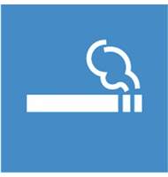 Информационная табличка APLI Место для курения, 114*114 мм