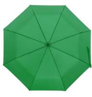 Зонт складной Monsoon зеленый