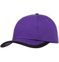 Бейсболка Bizbolka Honor фиолетовая с черным кантом