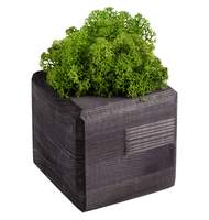 Декоративная композиция GreenBox Black Cube, зеленый