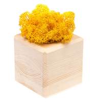Декоративная композиция GreenBox Wooden Cube, желтый