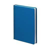Ежедневник датированный Pied-de-poule, 2024, А5, синий