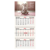Календарь квартальный на 2027 г., 3 блока, 3 гребня, бегунок, мелованная бумага, BRAUBERG FUN, "Goat yoga"