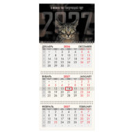 Календарь квартальный на 2027 г., 3 блока, 3 гребня, бегунок, мелованная бумага, BRAUBERG FUN, "Sad cat"